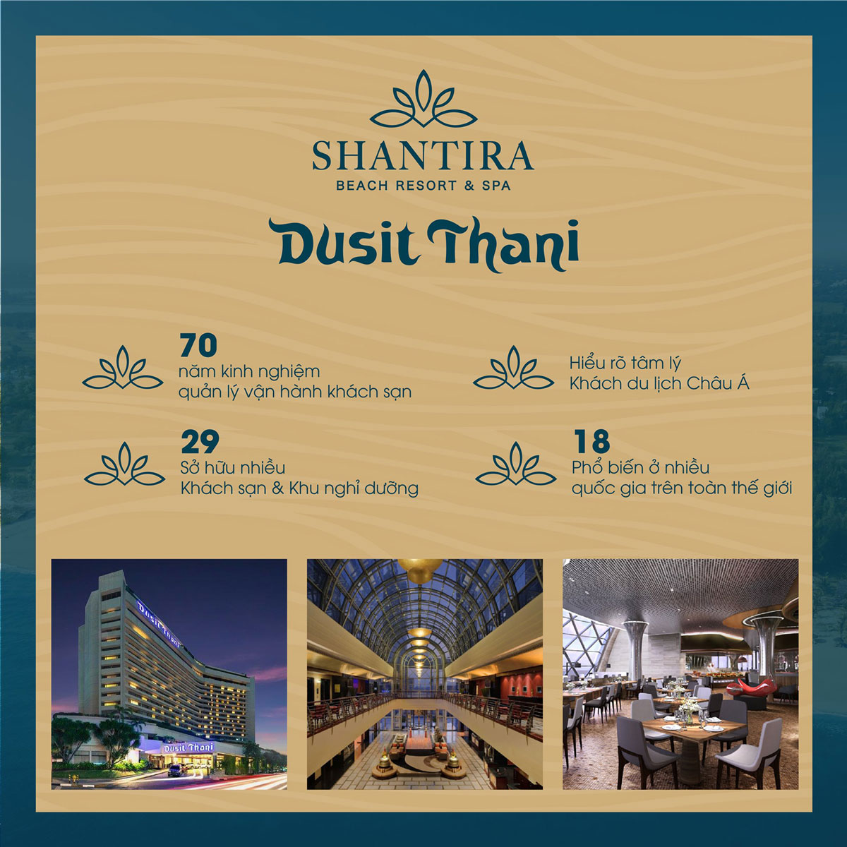 dusit thani - don vi quan ly shantira hoi an